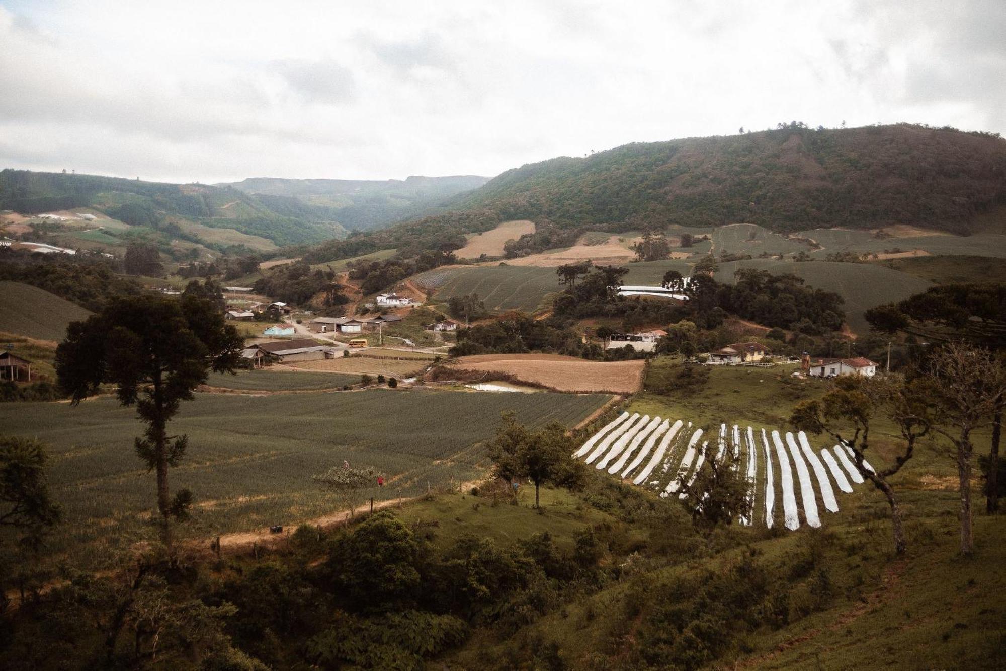 Vila Chale Caminho Do Sol Rancho Queimado Exteriér fotografie